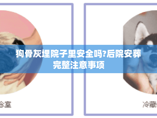 狗骨灰埋院子里安全吗?后院安葬完整注意事项