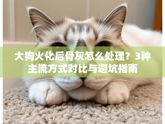 大狗火化后骨灰怎么处理？3种主流方式对比与避坑指南