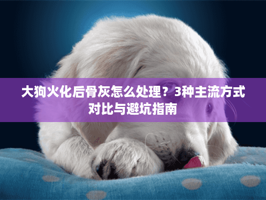 大狗火化后骨灰怎么处理?3种主流方式对比与避坑指南 大狗火化后骨灰怎么处理?3种主流方式对比与避坑指南