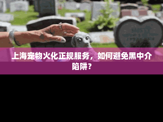 上海宠物火化正规服务，如何避免黑中介陷阱？