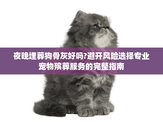 夜晚埋葬狗骨灰好吗?避开风险选择专业宠物殡葬服务的完整指南