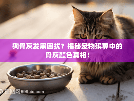 狗骨灰发黑困扰？揭秘宠物殡葬中的骨灰颜色真相！