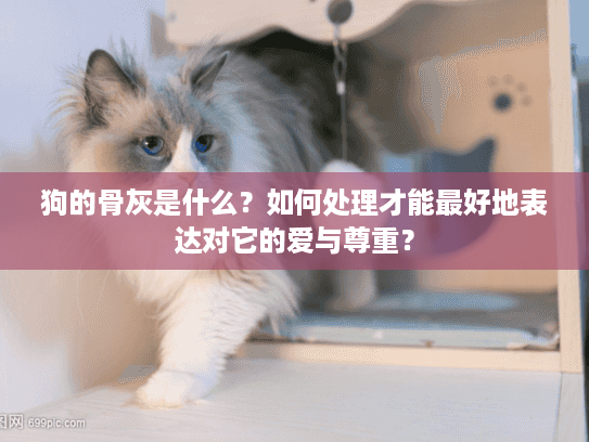 狗的骨灰是什么？如何处理才能最好地表达对它的爱与尊重？