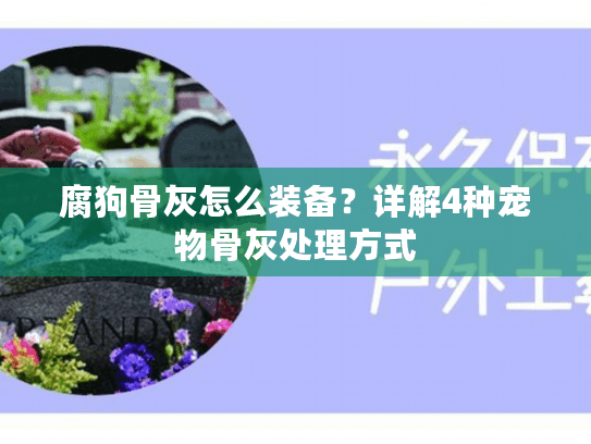 腐狗骨灰怎么装备？详解4种宠物骨灰处理方式