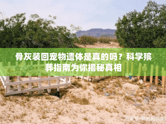 骨灰装回宠物遗体是真的吗？科学殡葬指南为你揭秘真相