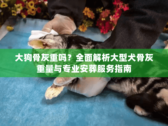 大狗骨灰重吗？全面解析大型犬骨灰重量与专业安葬服务指南