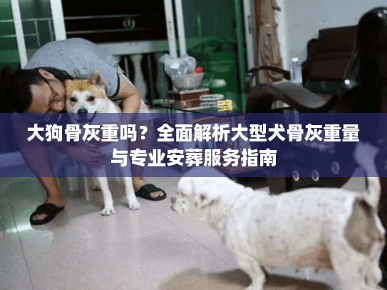 大狗骨灰重吗？全面解析大型犬骨灰重量与专业安葬服务指南