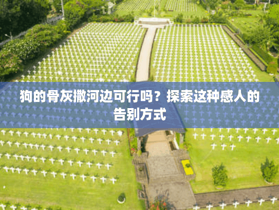 狗的骨灰撒河边可行吗？探索这种感人的告别方式