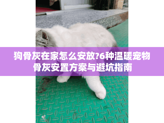 狗骨灰在家怎么安放?6种温暖宠物骨灰安置方案与避坑指南
