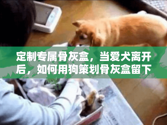 定制专属骨灰盒，当爱犬离开后，如何用狗策划骨灰盒留下永恒的纪念