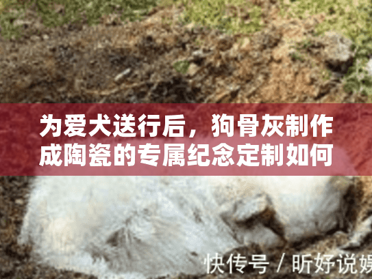 为爱犬送行后，狗骨灰制作成陶瓷的专属纪念定制如何选择？