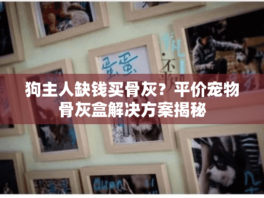 狗主人缺钱买骨灰？平价宠物骨灰盒解决方案揭秘