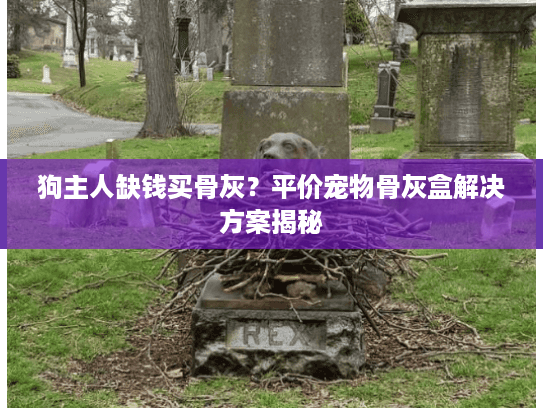 狗主人缺钱买骨灰？平价宠物骨灰盒解决方案揭秘