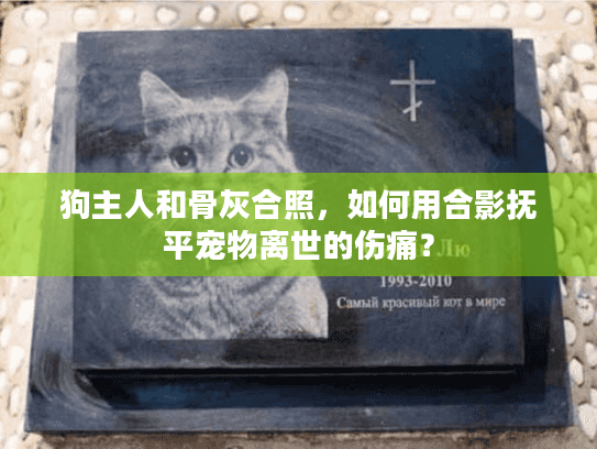 狗主人和骨灰合照，如何用合影抚平宠物离世的伤痛？