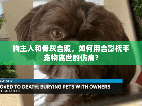 狗主人和骨灰合照，如何用合影抚平宠物离世的伤痛？