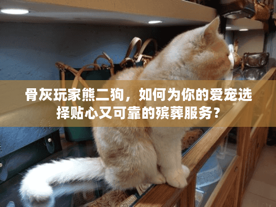 骨灰玩家熊二狗，如何为你的爱宠选择贴心又可靠的殡葬服务？