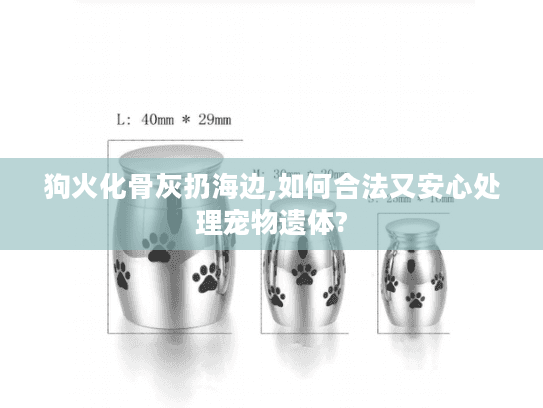狗火化骨灰扔海边,如何合法又安心处理宠物遗体?