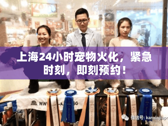 上海24小时宠物火化，紧急时刻，即刻预约！