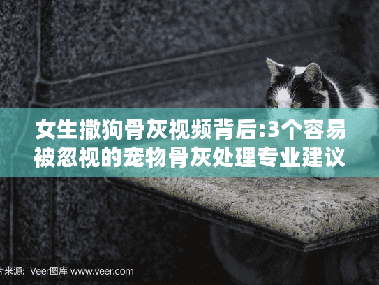 女生撒狗骨灰视频背后:3个容易被忽视的宠物骨灰处理专业建议