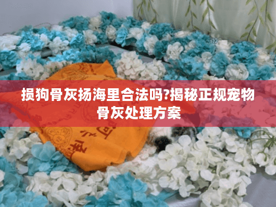 损狗骨灰扬海里合法吗?揭秘正规宠物骨灰处理方案