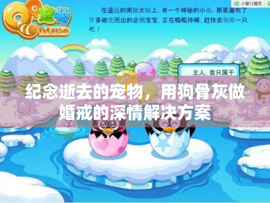 纪念逝去的宠物，用狗骨灰做婚戒的深情解决方案