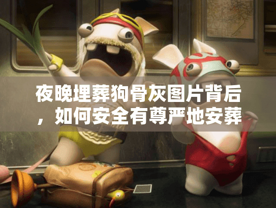 夜晚埋葬狗骨灰图片背后，如何安全有尊严地安葬宠物？