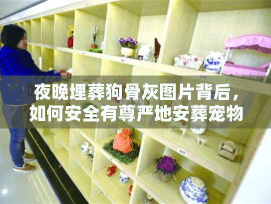 夜晚埋葬狗骨灰图片背后，如何安全有尊严地安葬宠物？