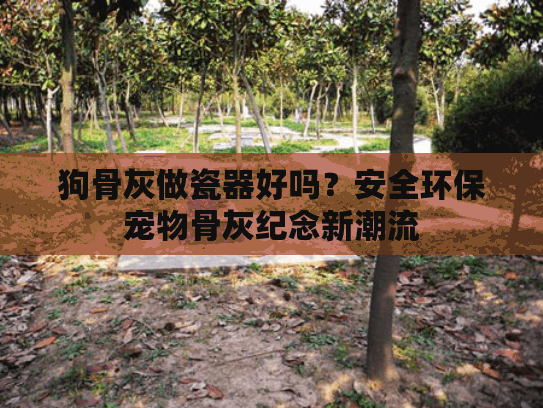 狗骨灰做瓷器好吗？安全环保宠物骨灰纪念新潮流