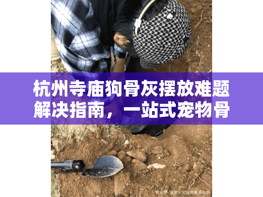 杭州寺庙狗骨灰摆放难题解决指南，一站式宠物骨灰安放服务详解