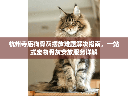 杭州寺庙狗骨灰摆放难题解决指南，一站式宠物骨灰安放服务详解