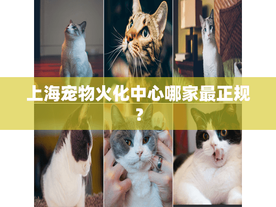 上海宠物火化中心哪家最正规？