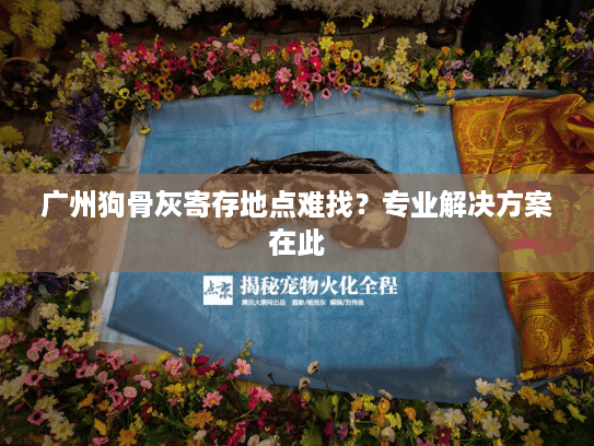 广州狗骨灰寄存地点难找？专业解决方案在此