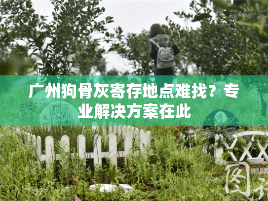 广州狗骨灰寄存地点难找？专业解决方案在此