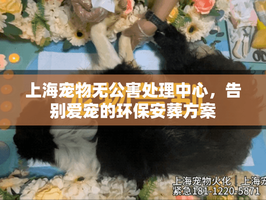 上海宠物无公害处理中心，告别爱宠的环保安葬方案