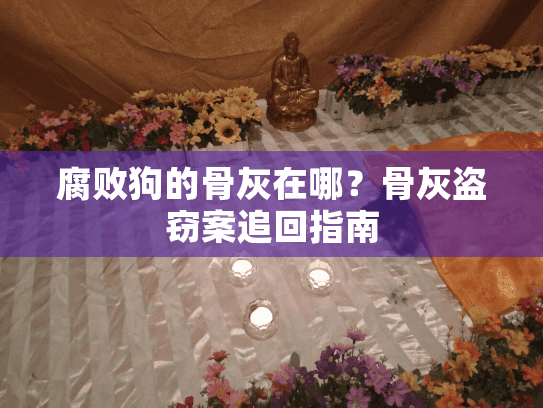 腐败狗的骨灰在哪？骨灰盗窃案追回指南