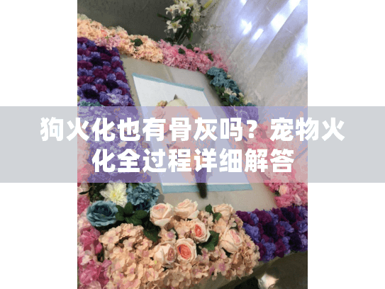 狗火化也有骨灰吗？宠物火化全过程详细解答