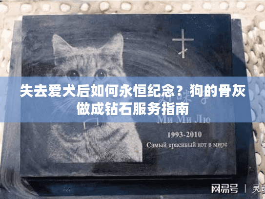 失去爱犬后如何永恒纪念？狗的骨灰做成钻石服务指南
