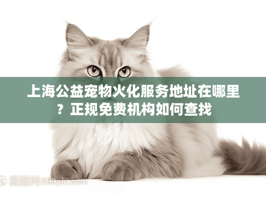 上海公益宠物火化服务地址在哪里？正规免费机构如何查找