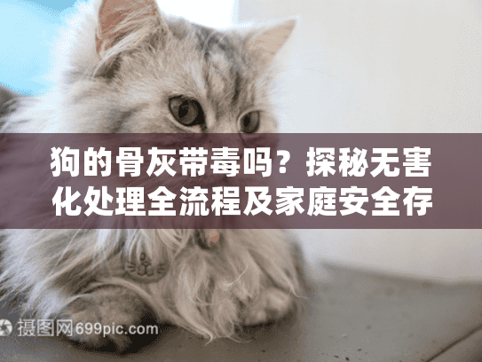 狗的骨灰带毒吗？探秘无害化处理全流程及家庭安全存放方案