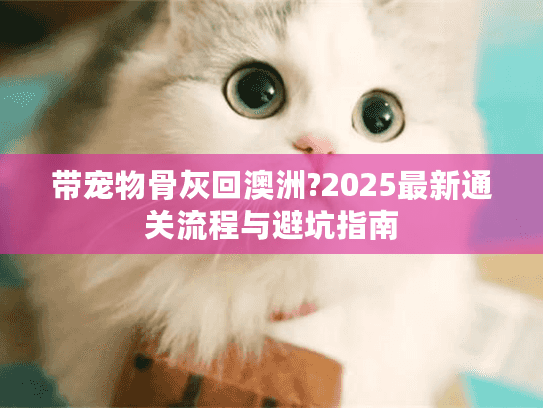 带宠物骨灰回澳洲?2025最新通关流程与避坑指南