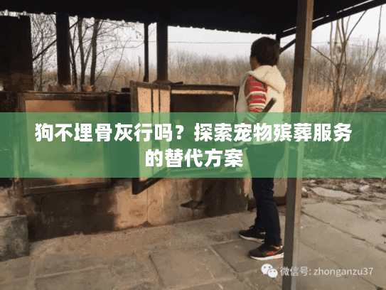 狗不埋骨灰行吗?探索宠物殡葬服务的替代方案 狗不埋骨灰行吗?探索宠物殡葬服务的替代方案