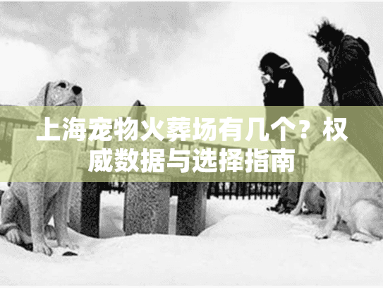 上海宠物火葬场有几个？权威数据与选择指南