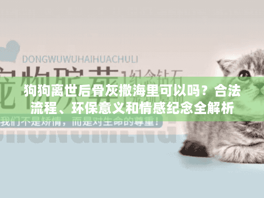 狗狗离世后骨灰撒海里可以吗？合法流程、环保意义和情感纪念全解析