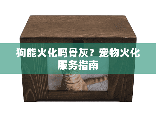 狗能火化吗骨灰？宠物火化服务指南
