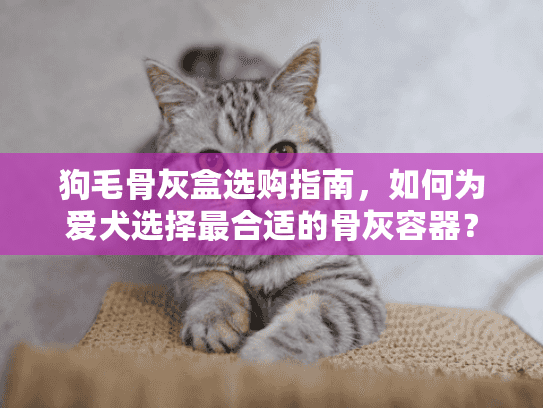 狗毛骨灰盒选购指南，如何为爱犬选择最合适的骨灰容器？