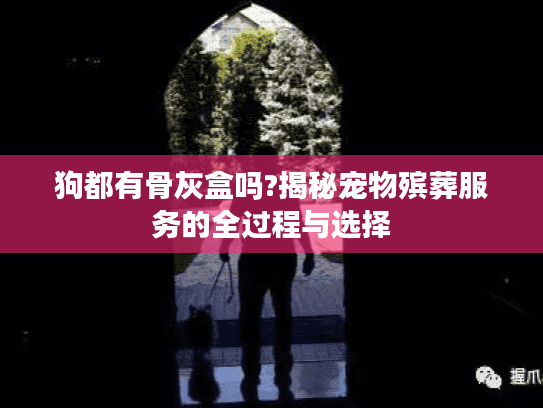 狗都有骨灰盒吗?揭秘宠物殡葬服务的全过程与选择
