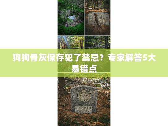 狗狗骨灰保存犯了禁忌？专家解答5大易错点