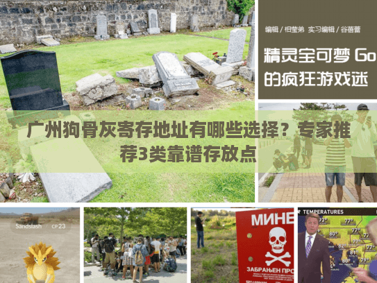 广州狗骨灰寄存地址有哪些选择？专家推荐3类靠谱存放点