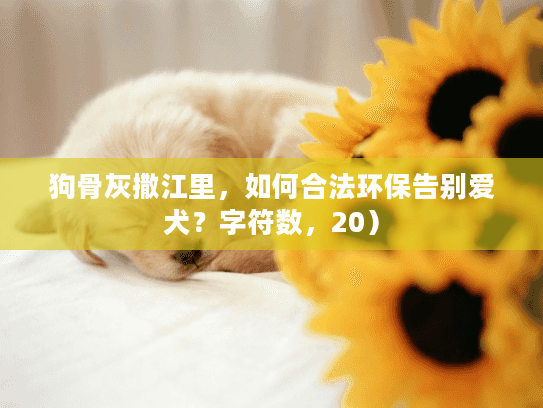狗骨灰撒江里，如何合法环保告别爱犬？字符数，20）