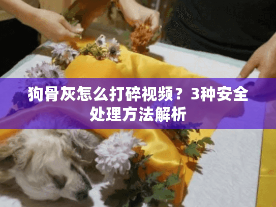 狗骨灰怎么打碎视频？3种安全处理方法解析